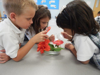 Pre Kindergarten